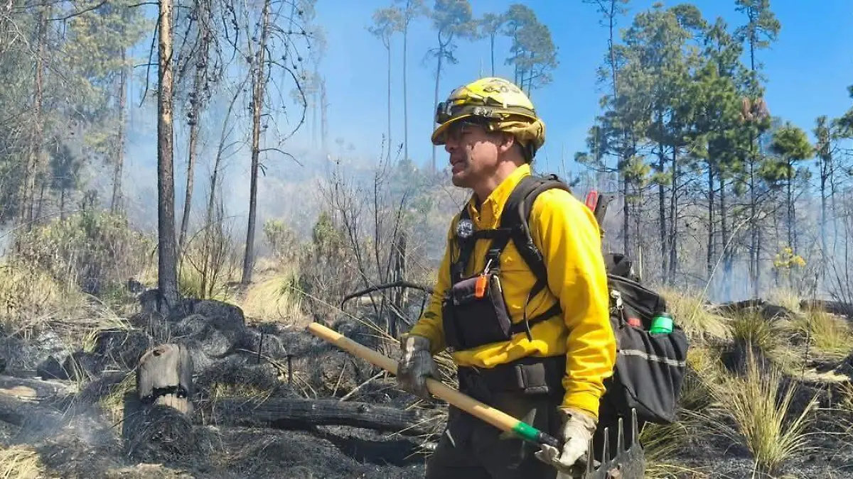 incendios forestales conafor3